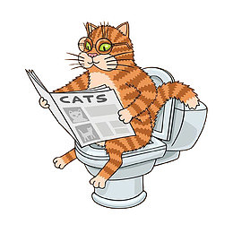 戴眼镜看报纸的猫咪