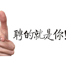 要的就是你