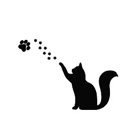 抬起猫爪的猫