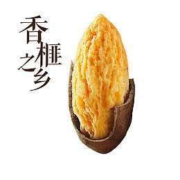 香榧之乡