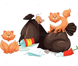 垃圾上的小猫