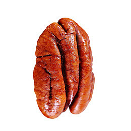 实物碧根果仁一颗