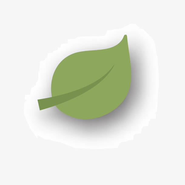 矢量一片树叶