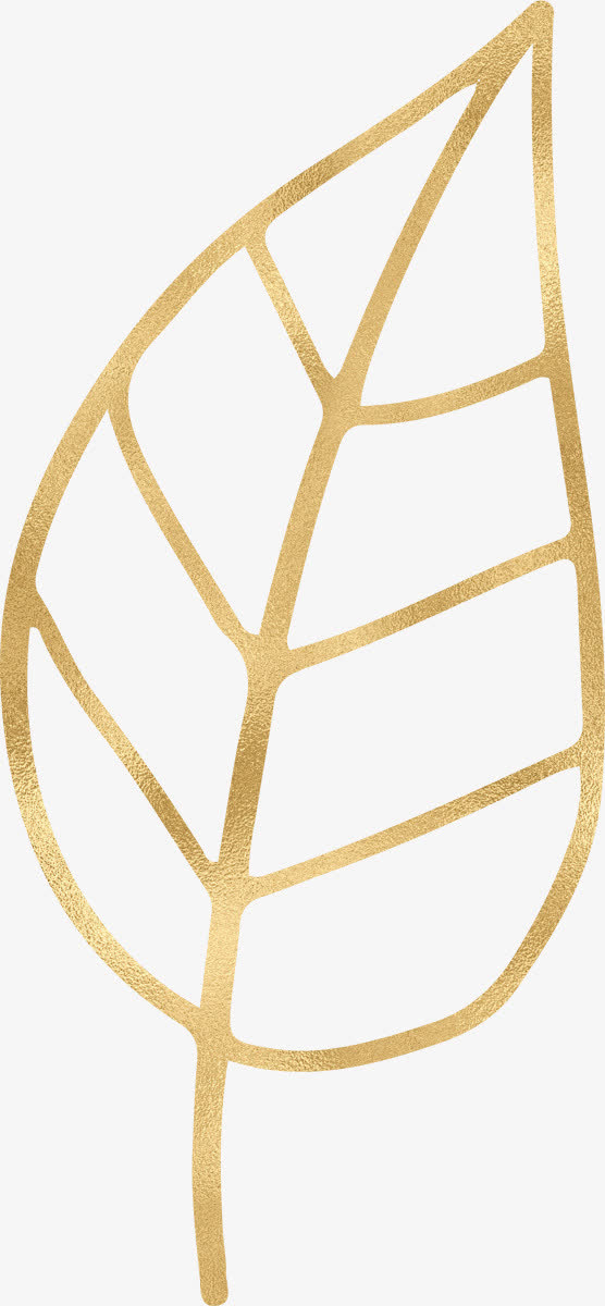 关键词 : 一片树叶,金色树叶,简单线条,手绘,金色线条,平面[声明] 觅