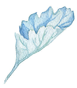 手绘水彩树叶