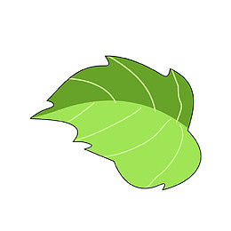 手绘树叶
