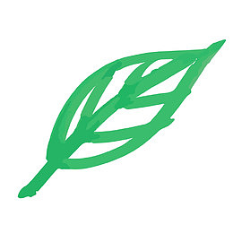 手绘水彩叶子