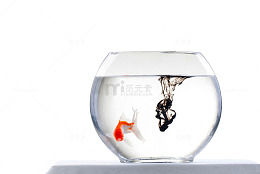 透明玻璃鱼缸