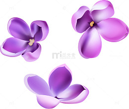 矢量手绘紫色花朵