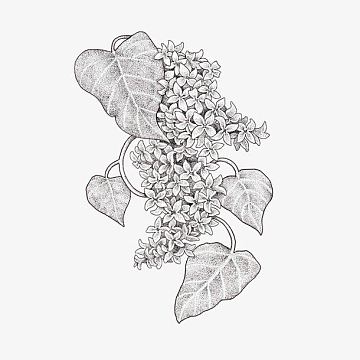 png蜜蜂花丛png美丽桃花素描简笔画aipng玫瑰花装饰素材图案png素描