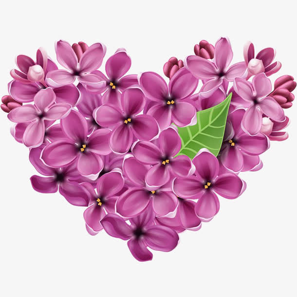 关键词 : 手绘,丁香,丁香花,紫丁香,爱心,爱情,浪漫,插画,手绘丁香