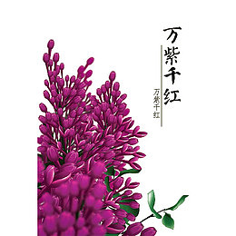 手绘唯美紫丁香花簇设计免抠