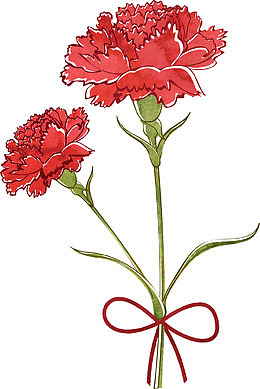 红色丝网花