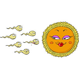 卡通精子和卵子的相遇