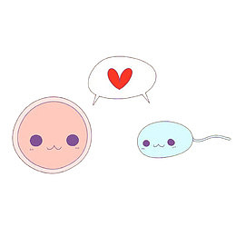 卡通精子求爱卵子
