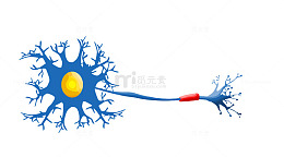 蓝色细胞神经