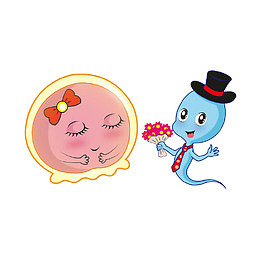 卡通精子先生给卵子小姐送花