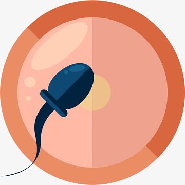 卵子png卡通大眼睛精子们png卡通精子表情包png卡通精子思考png卡通