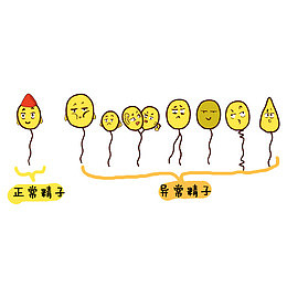 卡通正常精子和异常精子