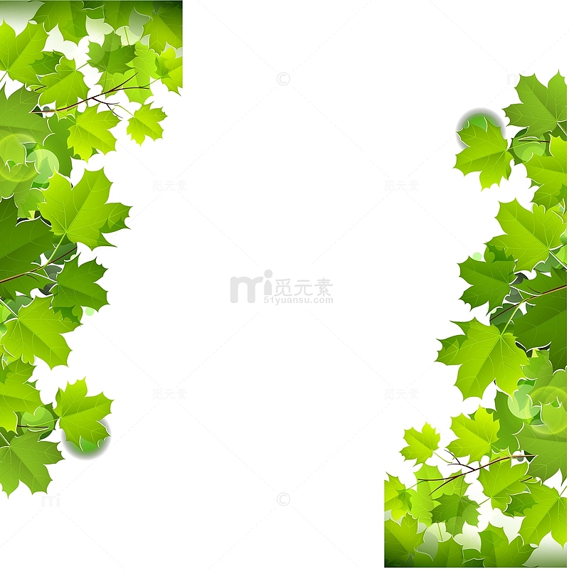 对称的修饰绿色扁平化唯美枫树叶