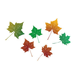 六片黄红绿色扁平化唯美枫树叶子