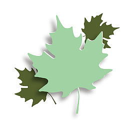 立体浅绿色矢量扁平化精美枫叶