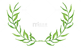 绿色叶子
