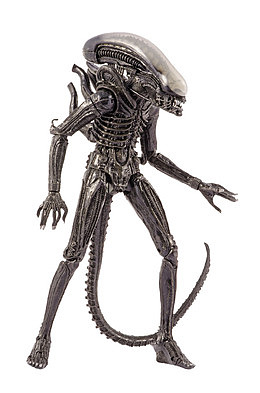 神秘科幻恐怖惊悚外星生物PNG
