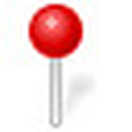 Pin icon