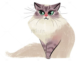 猫咪