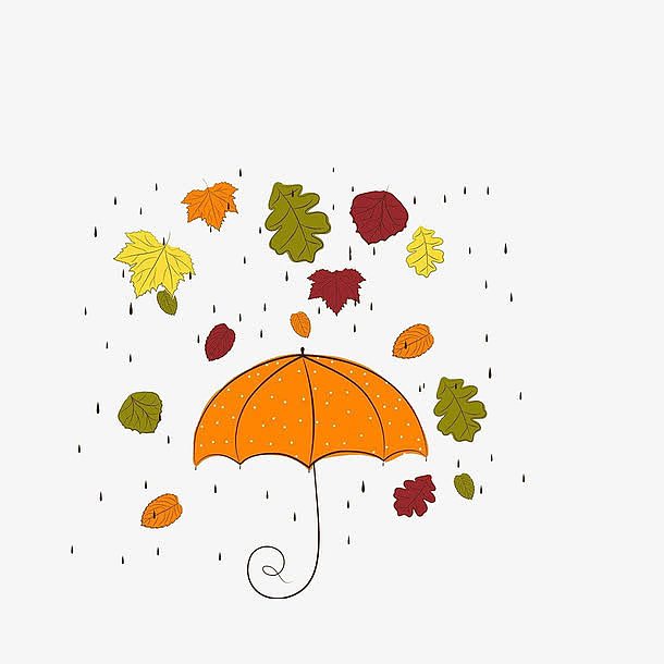 雨伞和落叶