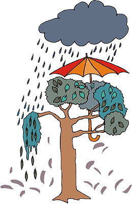 暴风雨来临之时