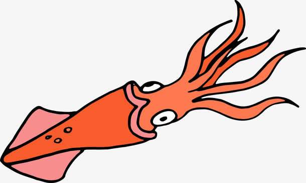 关键词 : 乌贼,墨鱼,动画,动漫,海洋生物,手绘乌贼,手绘墨鱼,桔色乌贼