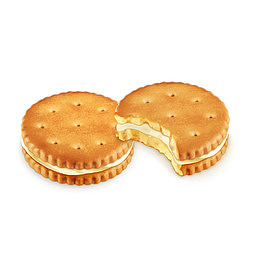 矢量饼干