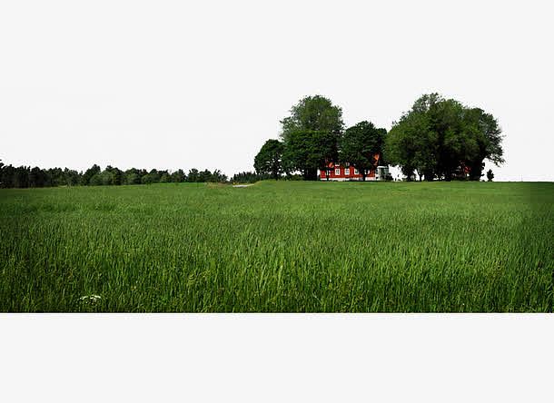 绿色自然草丛远景背景图案免抠素材免费下载 觅元素51yuansu Com