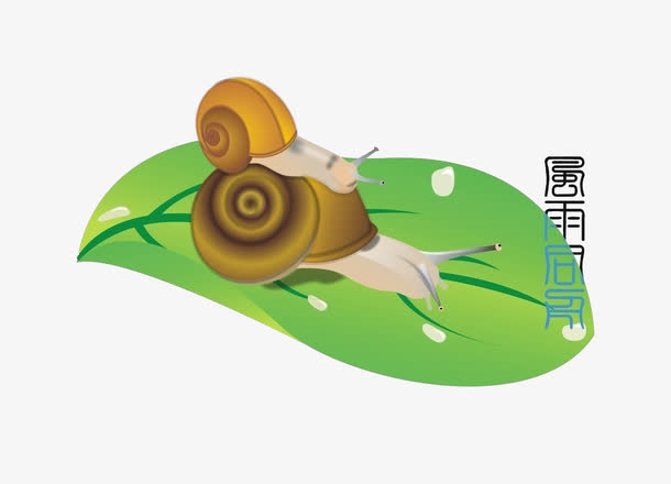 关键词 : 卡通,蜗牛,可爱[声明] 觅元素所有素材为用户免费分享产生