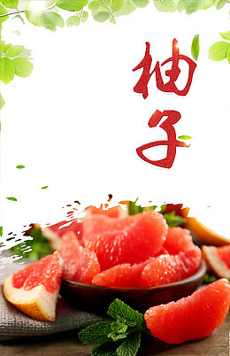 柚子海报