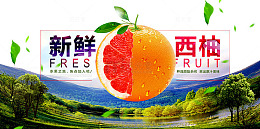 新鲜西柚海报