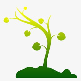 茁壮成长的树苗