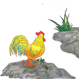 公鸡打鸣手绘画素材图片