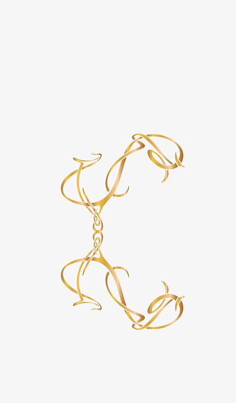 矢量卡通半边花纹线框png