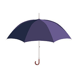 紫色雨伞