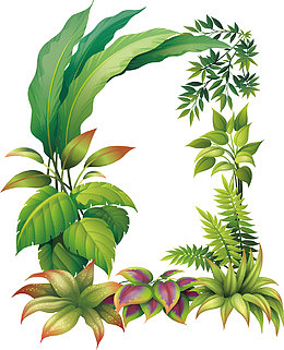 绿色植物边框