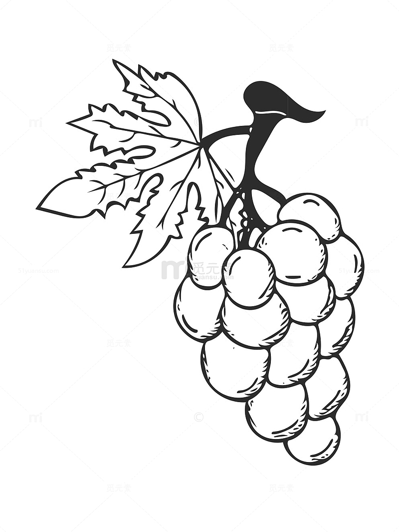 卡通手绘葡萄水果