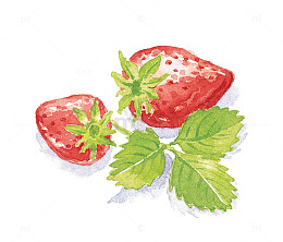 水彩手绘草莓