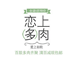 初秋恋上多肉