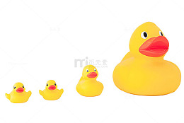实物玩具4只小黄鸭