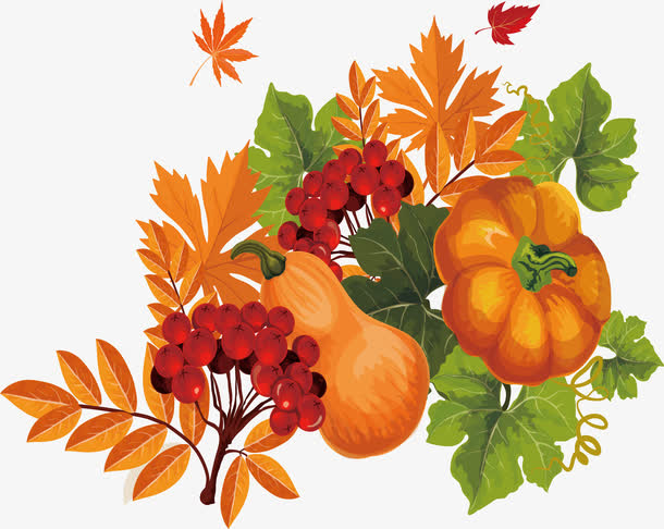 秋季果实设计