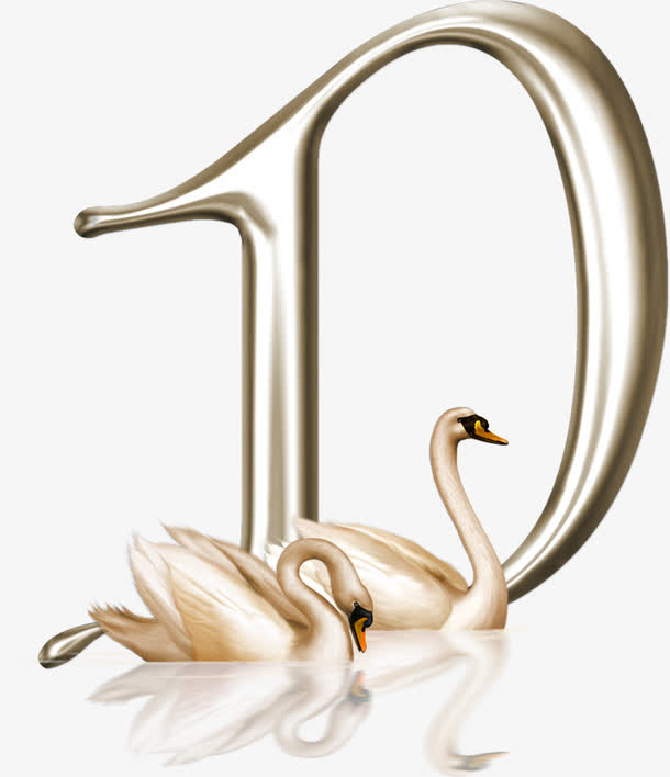 美丽的天鹅图案英文字母d