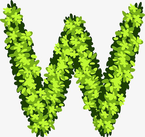 手绘绿色植物花卉创意英文字母W